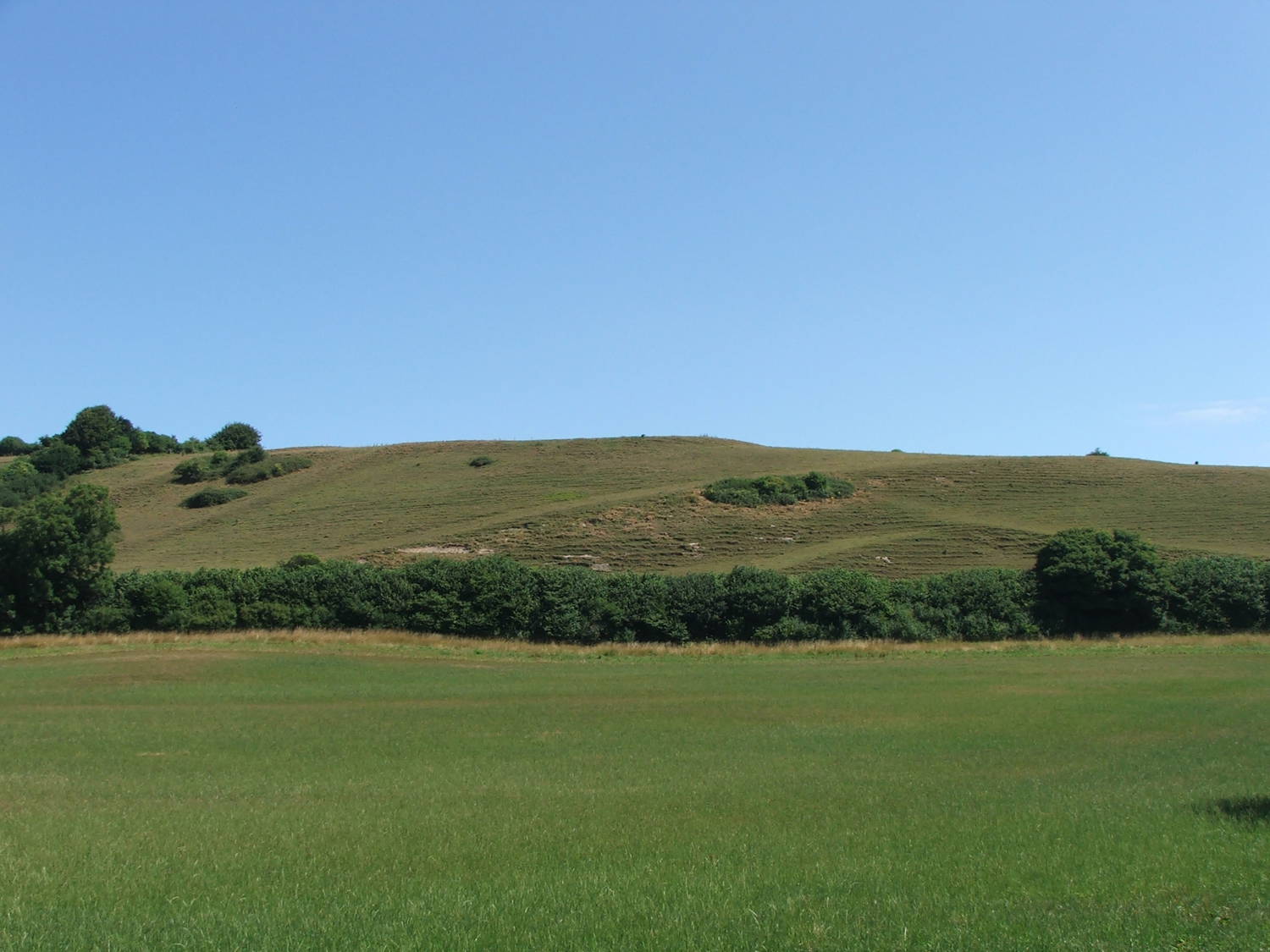 Post medieval chalk pit, Sherrins Hill, Sydling St Nicholas
